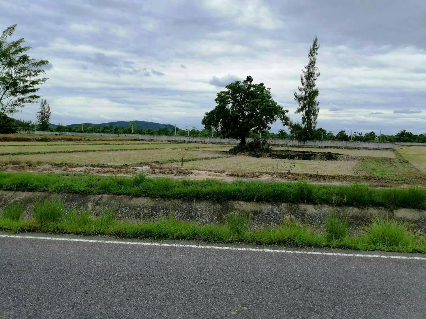 ที่ดินเปล่า บ้านธิ ลำพูน 3-0-36.6