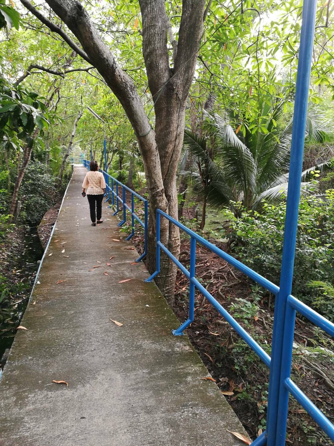 ที่ดินบางกระเจ้า ติดสวนชมนก บรรยากาศดี สมุทปราการ 10-0-69 ไร่