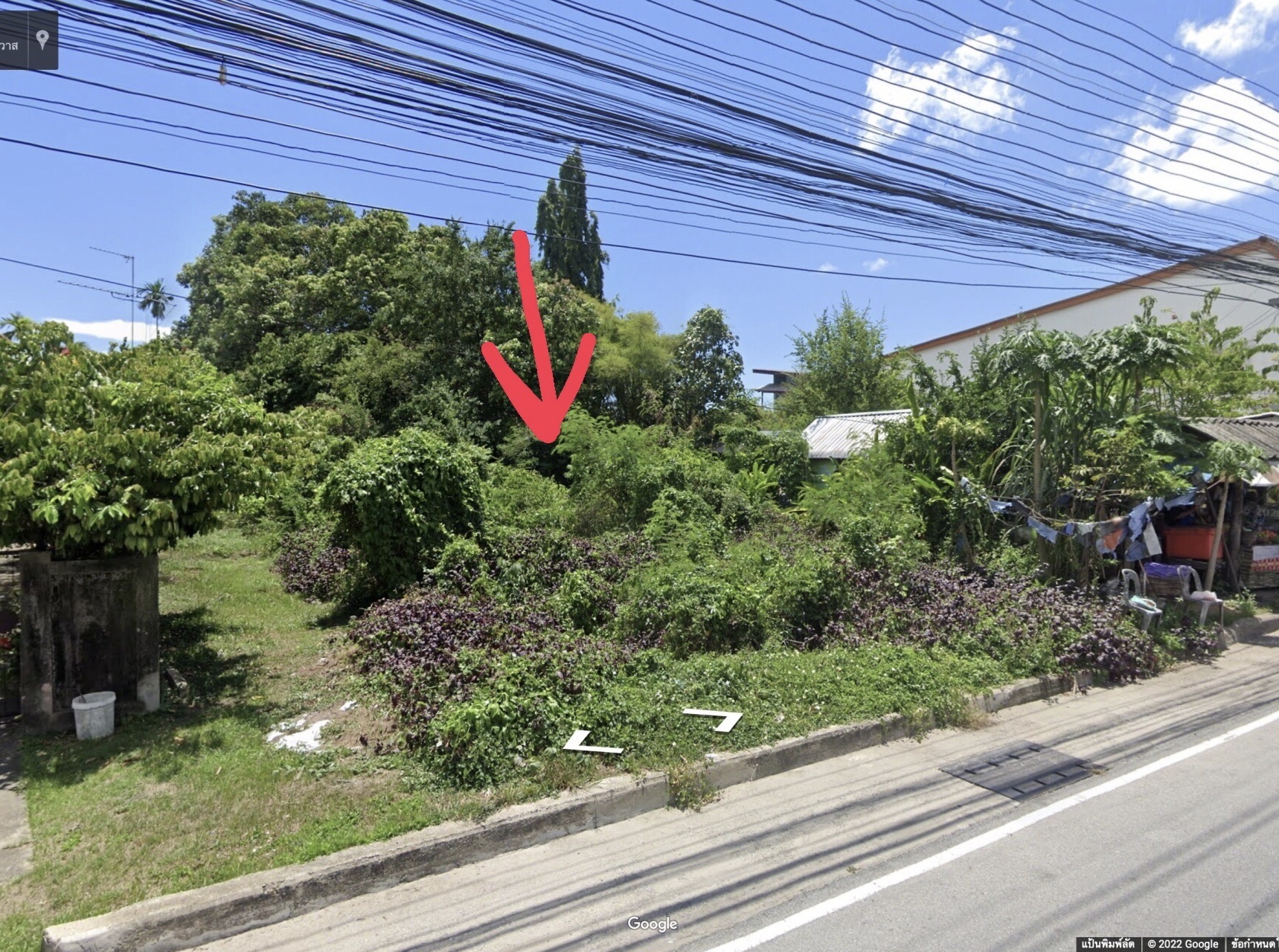 ที่ดินเปล่าแปลงสวย เมืองนราธิวาส 0-1-98
