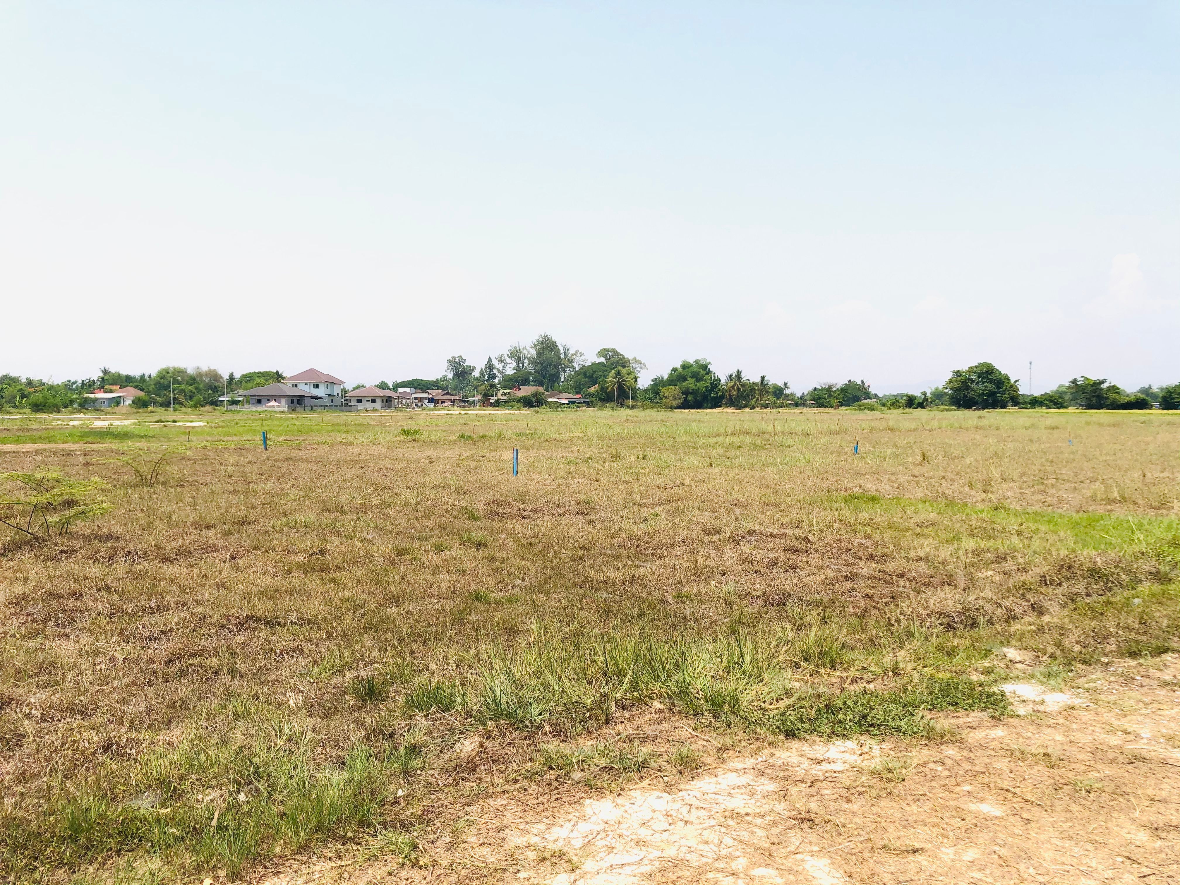 ที่ดินใกล้เมืองเชียงใหม่ (โซนท่ารั้ว) ต.สันปูเลย อ.ดอยสะเก็ด ห่างเซ็นทรัลเฟสติวัลเชียงใหม่เพียง7กิโล
