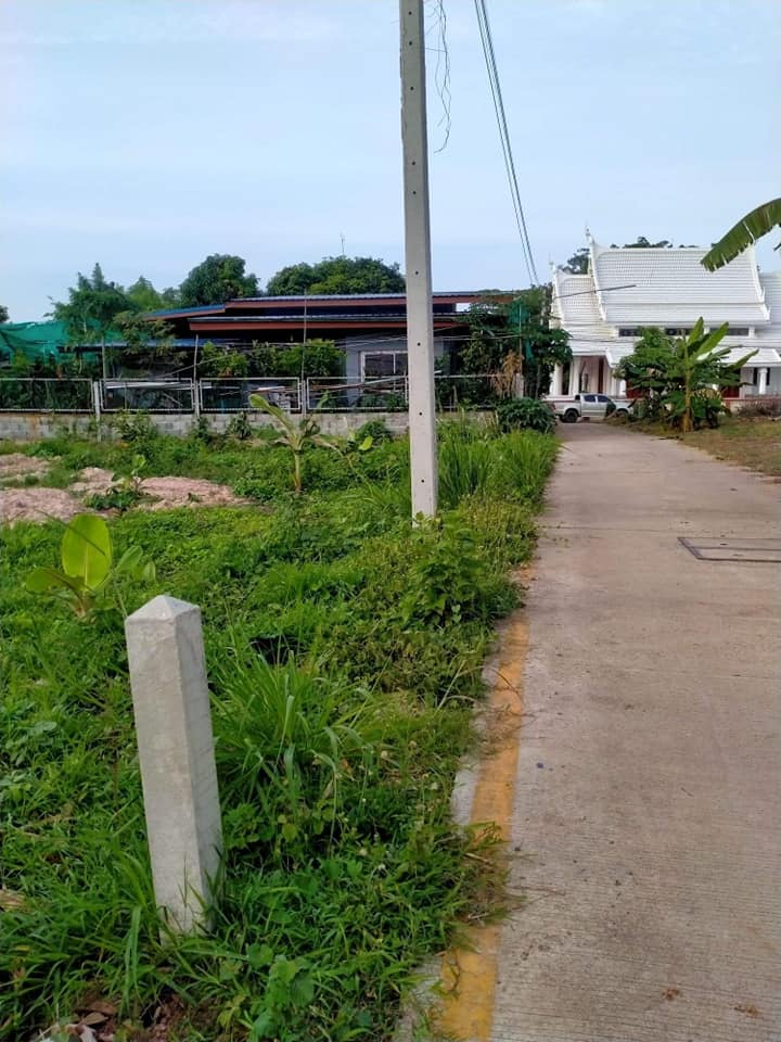 ขายที่ดินพิษณุโลก เมืองพิษณุโลก 0-2-37.6ตารางวา