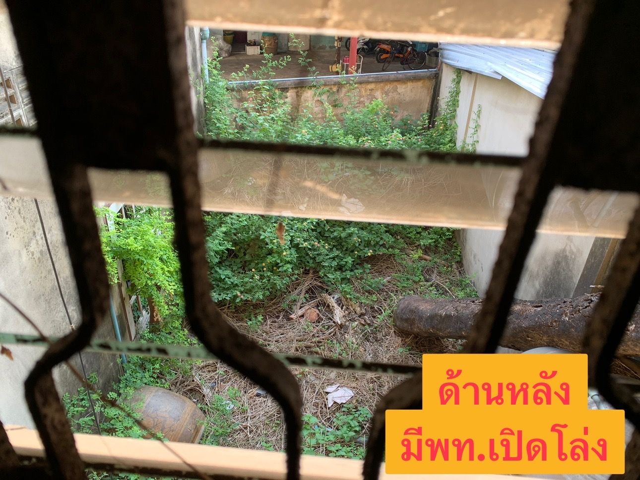 🏆 ขายตึกแถวทำเลทอง ติดถนนลาดพร้าว ซ. 70 ใกล้ MRT สายสีเหลือง  | พื้นที่หลังบ้านกว้างพิเศษ 🌿