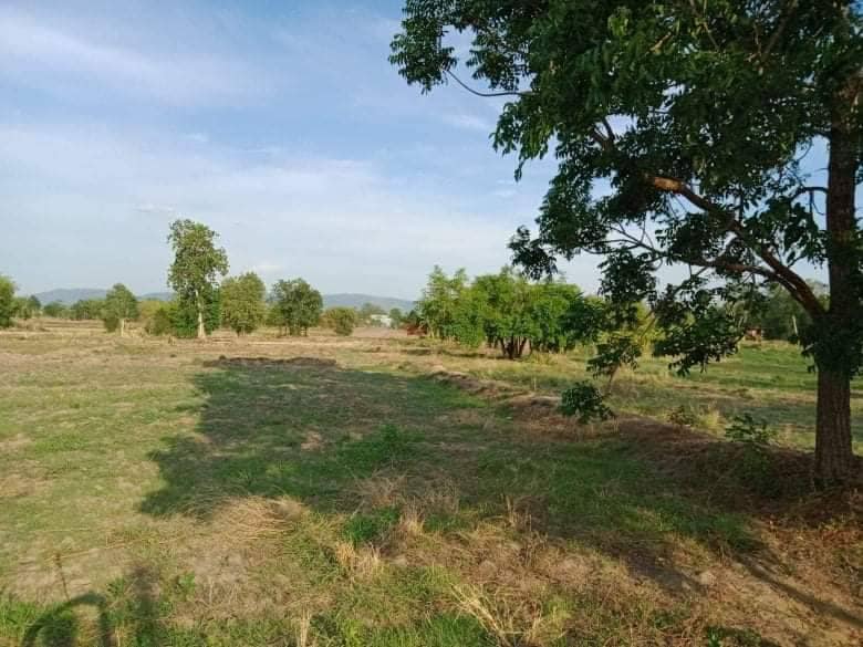 ที่ดินวิวเขา หนองบัวแดง ชัยภูมิ 16-3-99 ไร่