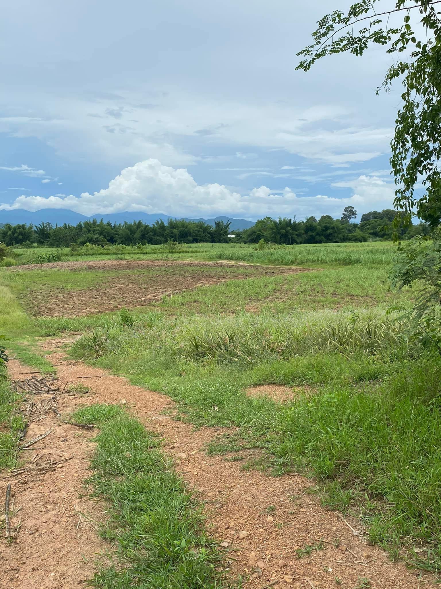 ที่ดินมีสระน้ำขนาดใหญ่ บ้านไร้ อุทัยธานี 4-1-75