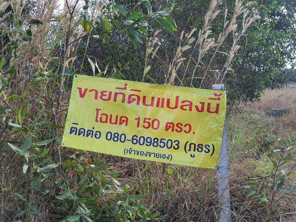 ที่ดินโฉนด โซนใกล้หนองตาไก้ อุดรธานี 150 ตรว.