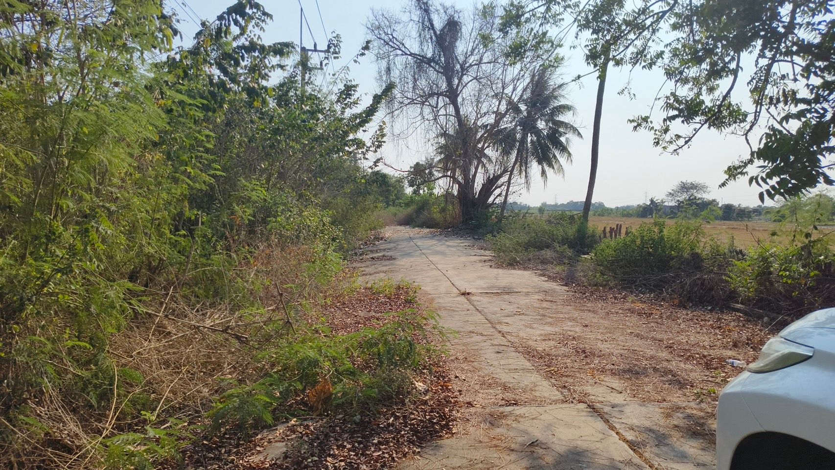 ที่ดินจัดสรรในเขตเทศบาลลาดหลุมแก้ว จ.ปทุมธานี, ปทุมธานี
