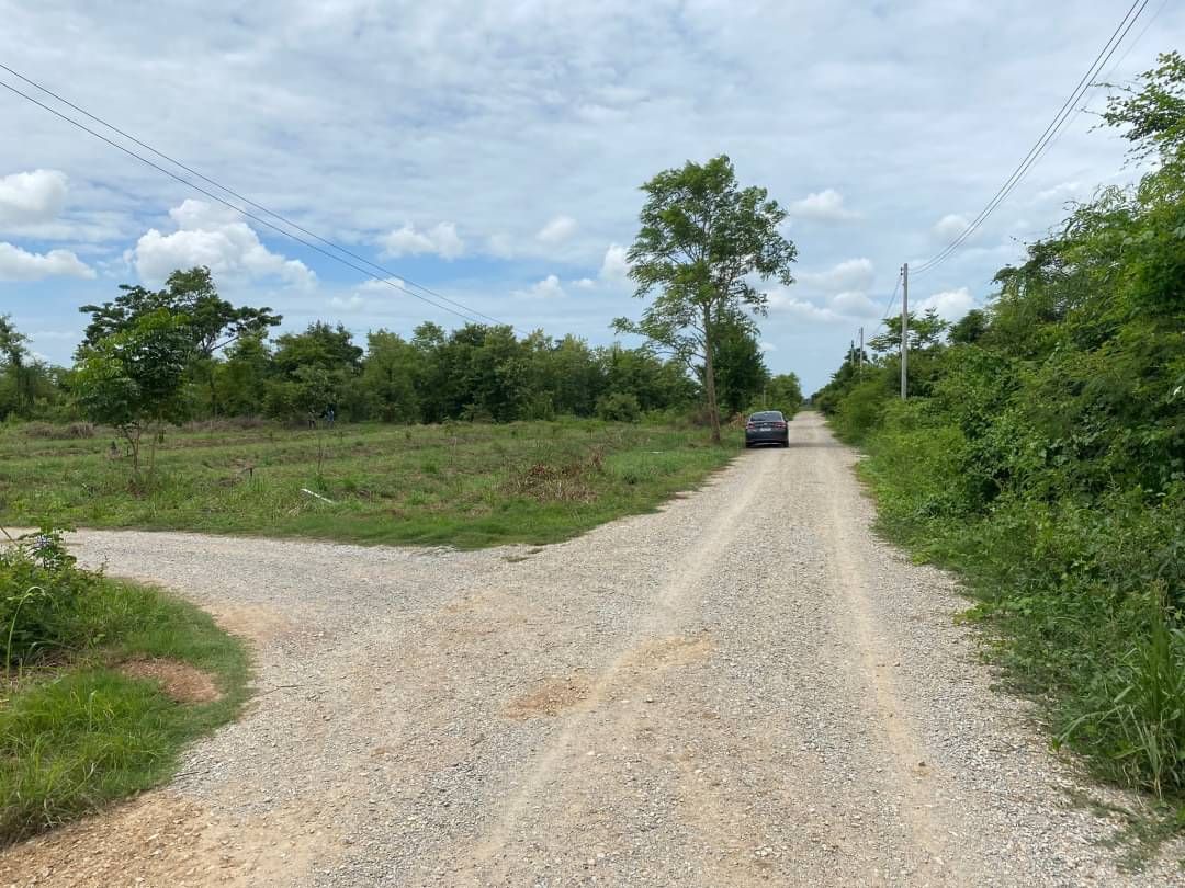 ขายที่ดินจังหวัดพิษณุโลก อำเภอเมือง