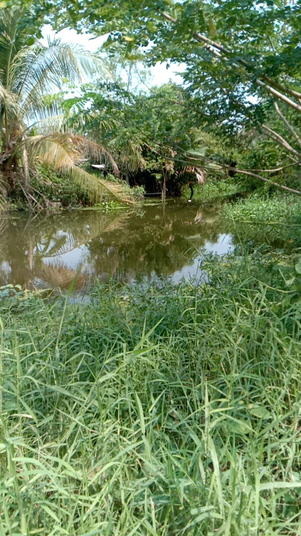ที่ดินติดน้ำ