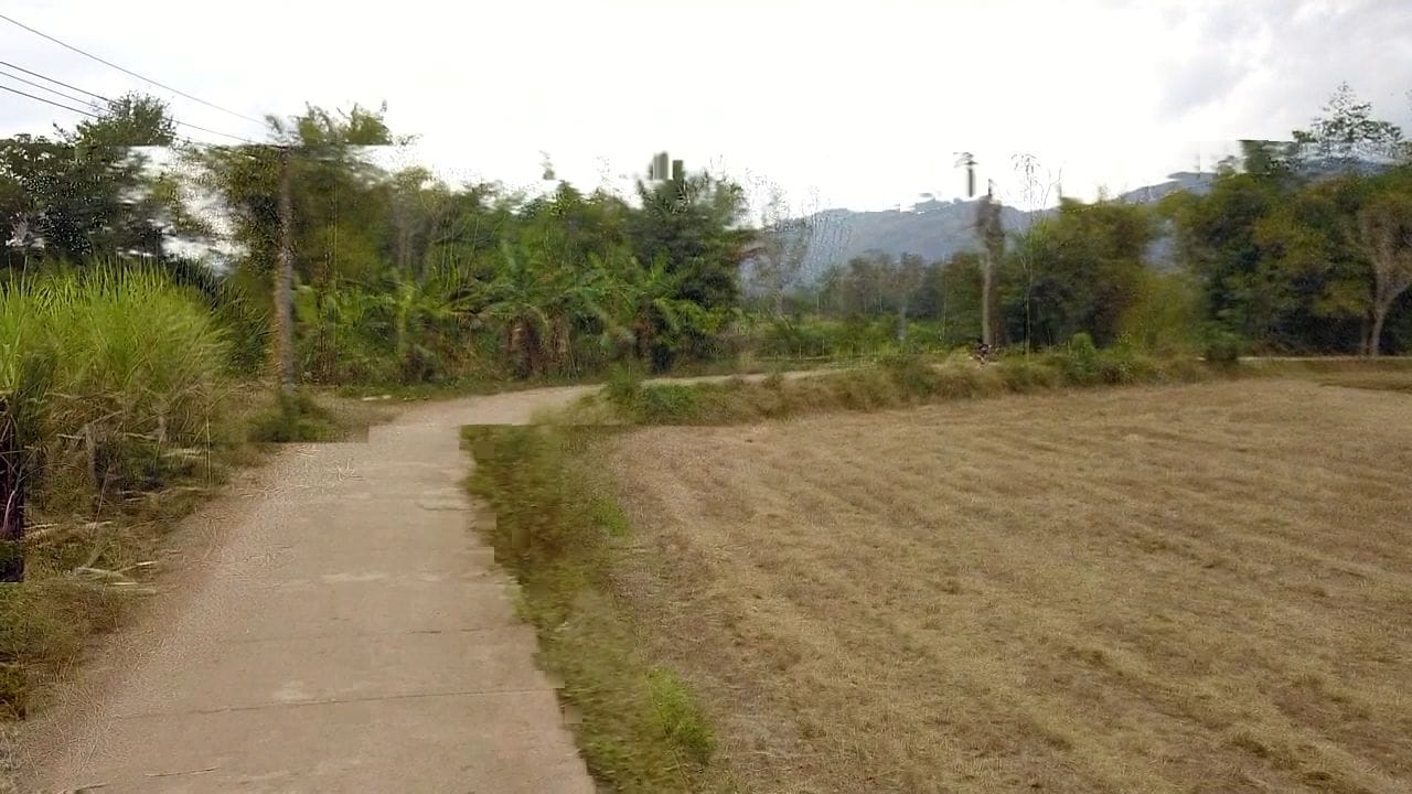 ขายที่ดินในเมืองเลย ทำเลดีติดแม่น้ำ! เพียง 2 ล้านบาท