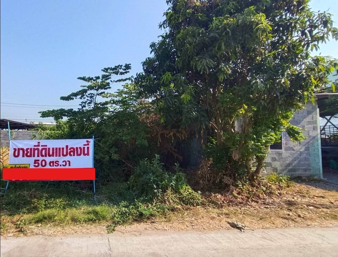 ขายที่ดินปทุมธานี อำเภอคลองหลวง ราคาต่ำกว่าตลาด เจ้าของปล่อยเอง ขายที่ดินเปล่า ซอยเทพกุญชร24  พื้นที่ 50ตรว 
