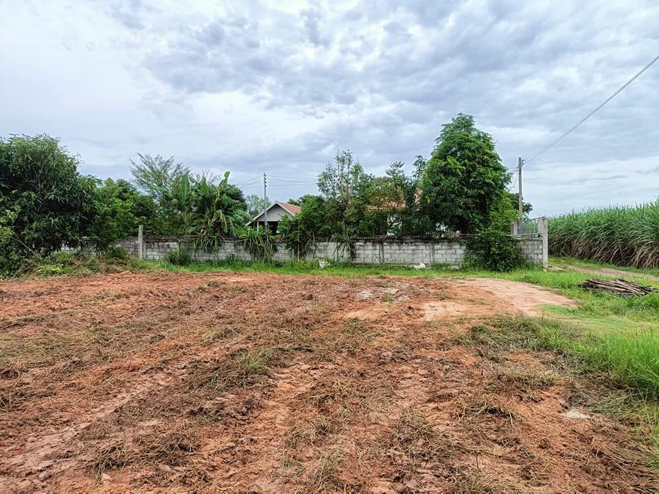 ขายที่ดิน บ้านหนองเซียงชุย ต.ป่าหวายนั่ง อ.บ้านฝาง จ.ขอนแก่น 165 ตรว.