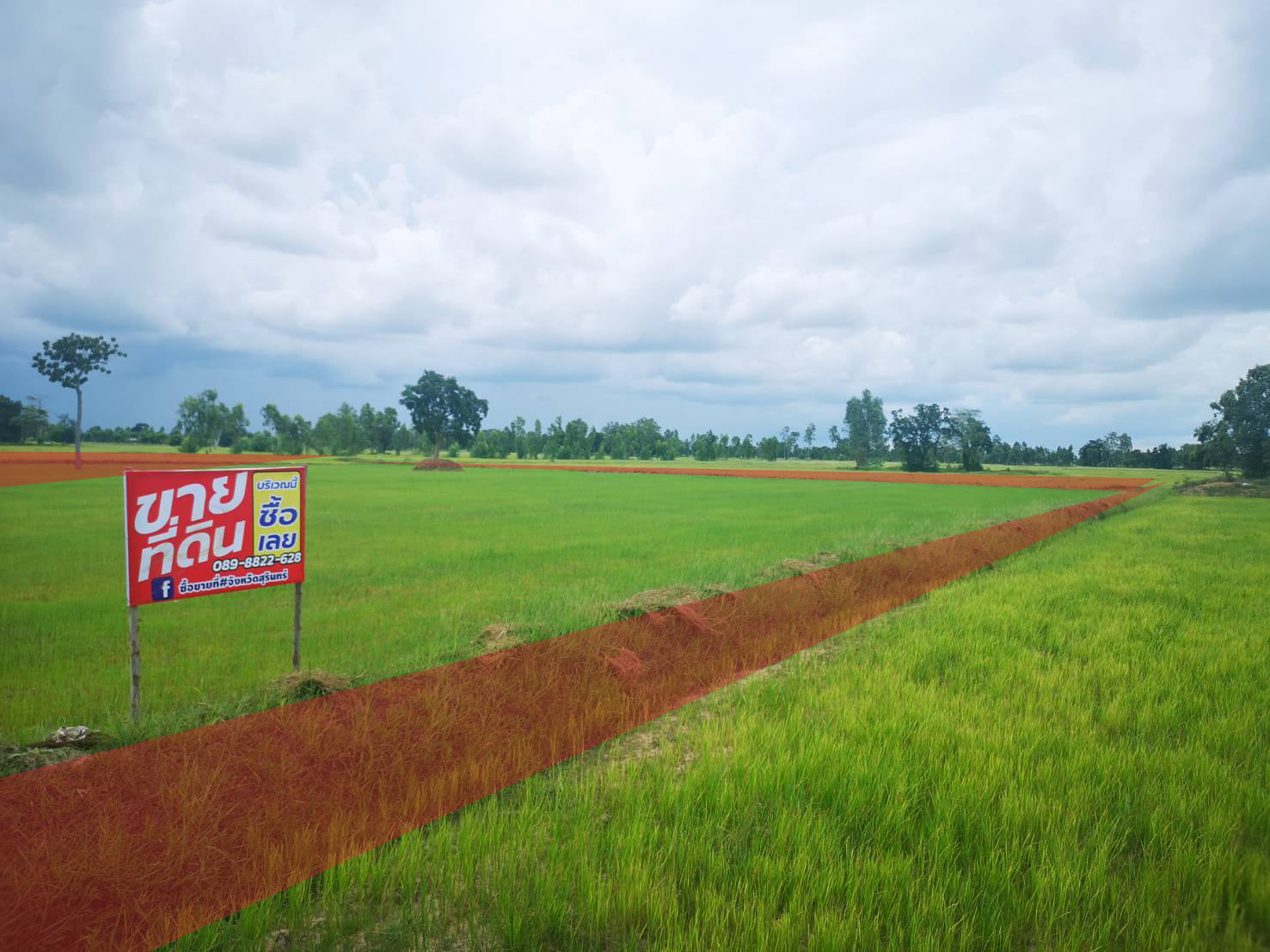 ที่ดินที่นา ศีขรภูมิ สุรินทร์ 10-2-21