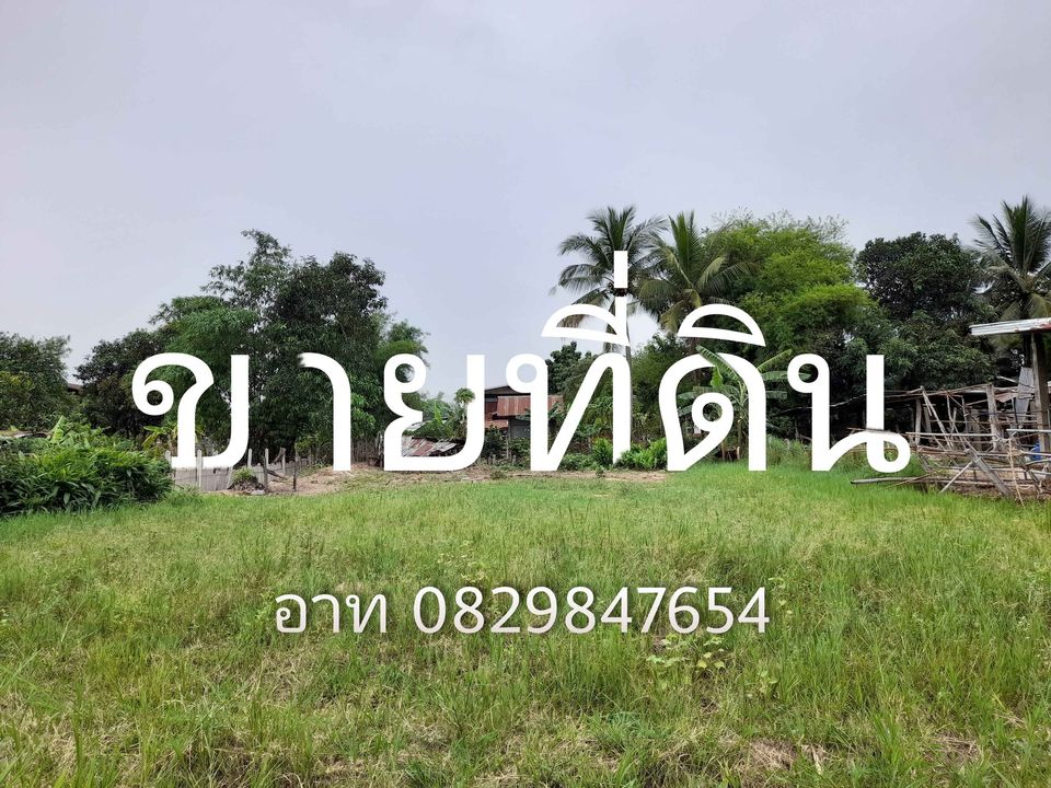 ที่ดิน เหมาะสำหรับสร้างบ้าน,ที่พักอาศัย อุดรธานี 97.8