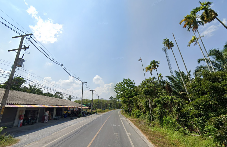 ขายที่ดินนครศรีธรรมราช อำเภอลานสกา ที่ดินพร้อมบ้านสวน ติดถนนดำ ไฟฟ้าเข้าถึง น่าลงทุน