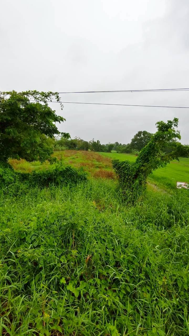 ขายที่ดินขอนแก่น อำเภอเมือง ที่ดินทำเลดี!