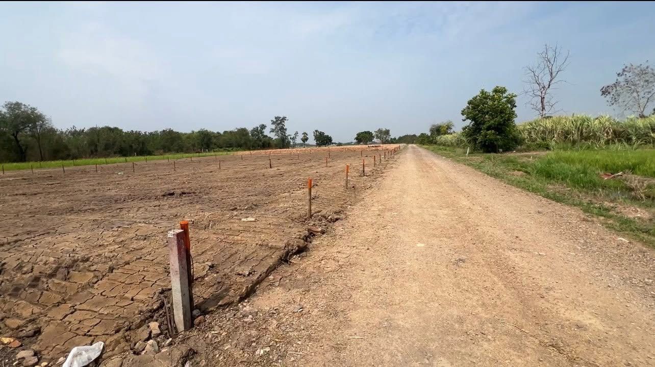 ขายที่ดินสวยถมแล้ว 1 งาน มี 4 แปลง คลองหลวง-คลองห้าตะวันตก Land for Sale – Filled & Scenic- Khlong Luang Khlong Ha (West side)