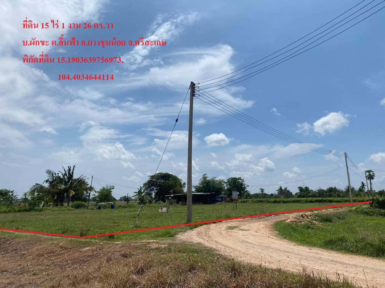 ที่ดินแปลงใหญ่ ยางชุมน้อย ศรีสะเกษ 15-1-26