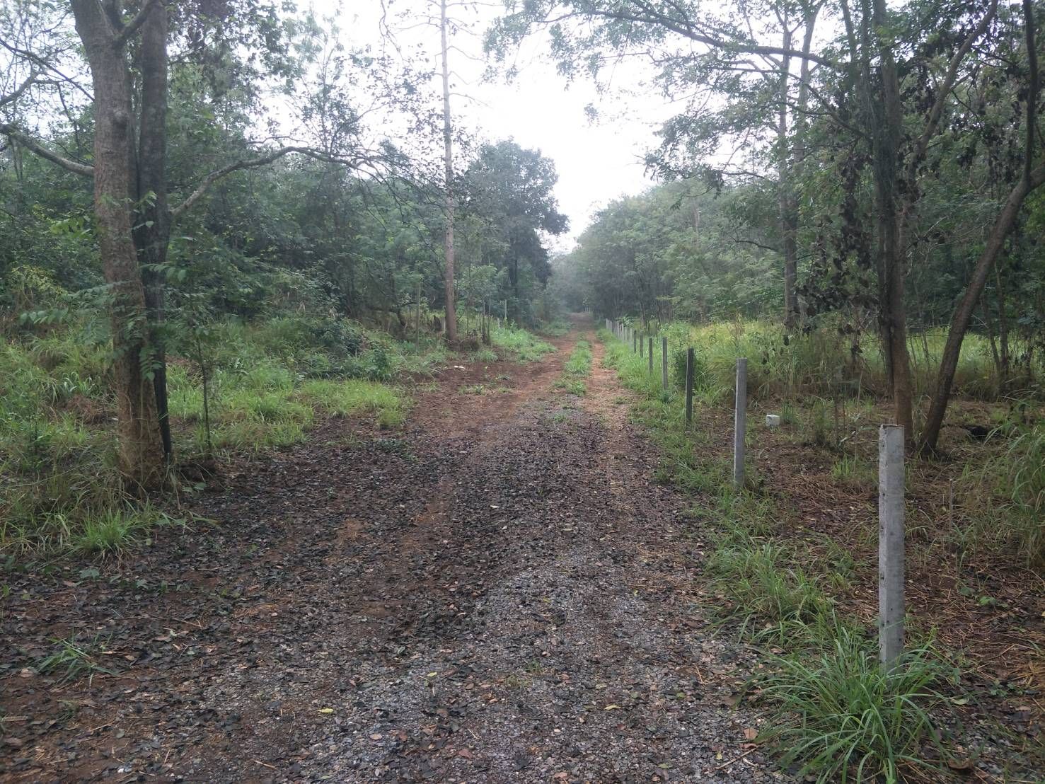 ขายที่ดินนครราชสีมา ปากช่อง ถนนเทศบาล6