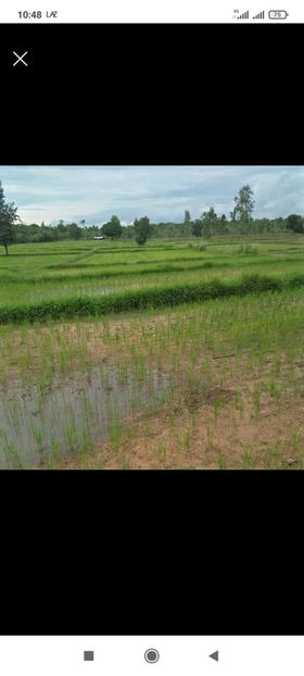 ที่ดินเปล่า เมืองหนองคาย 5-2-85.2