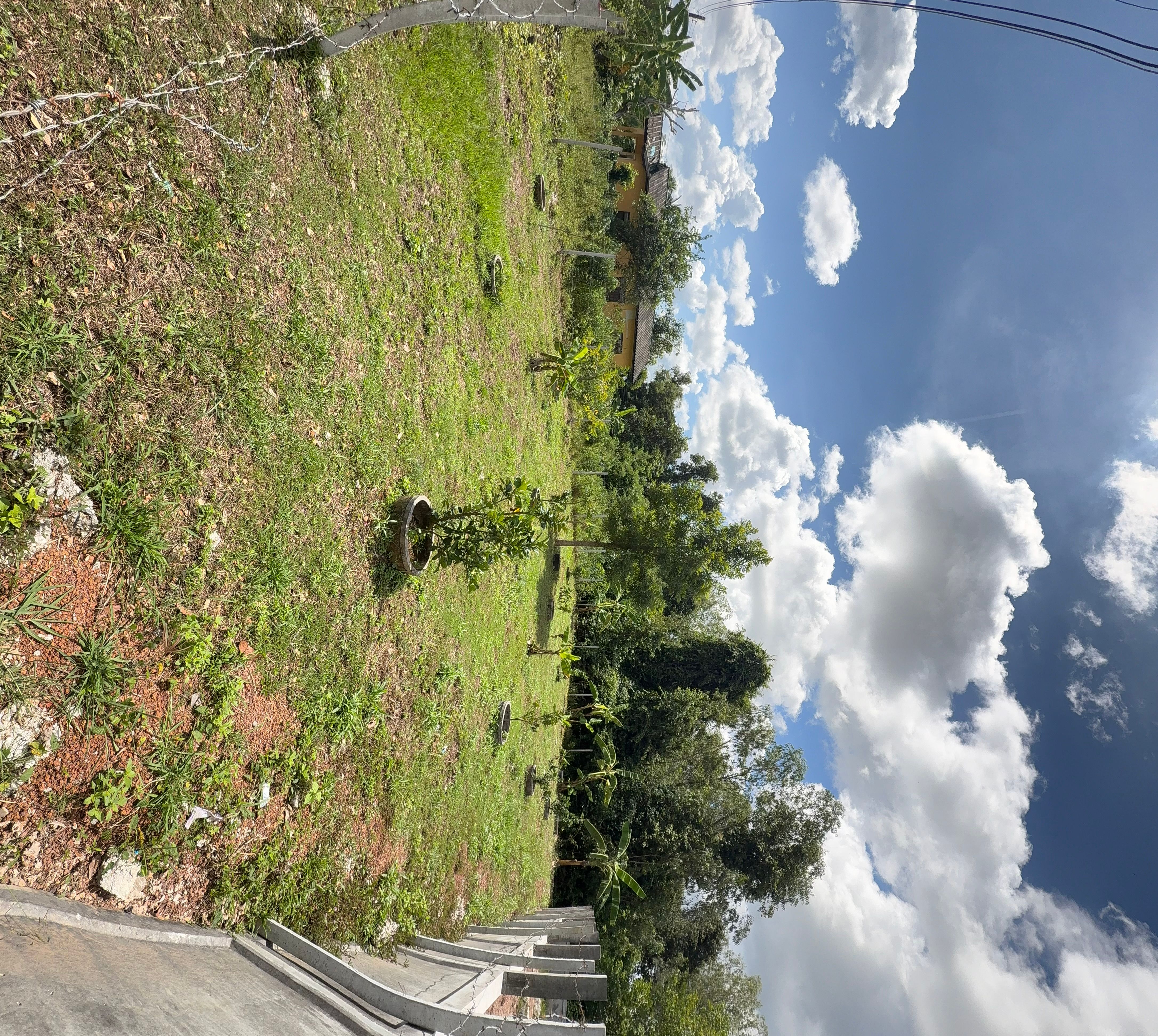 ขายที่ดินหนองคาย สระใคร ที่ดินเหมาะปลูกบ้าน