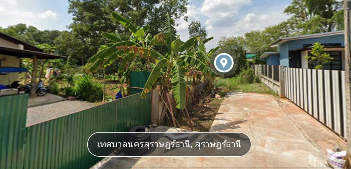 ขายที่ดินเปล่า สุราษฎร์ธานี 246.9 ตรว.