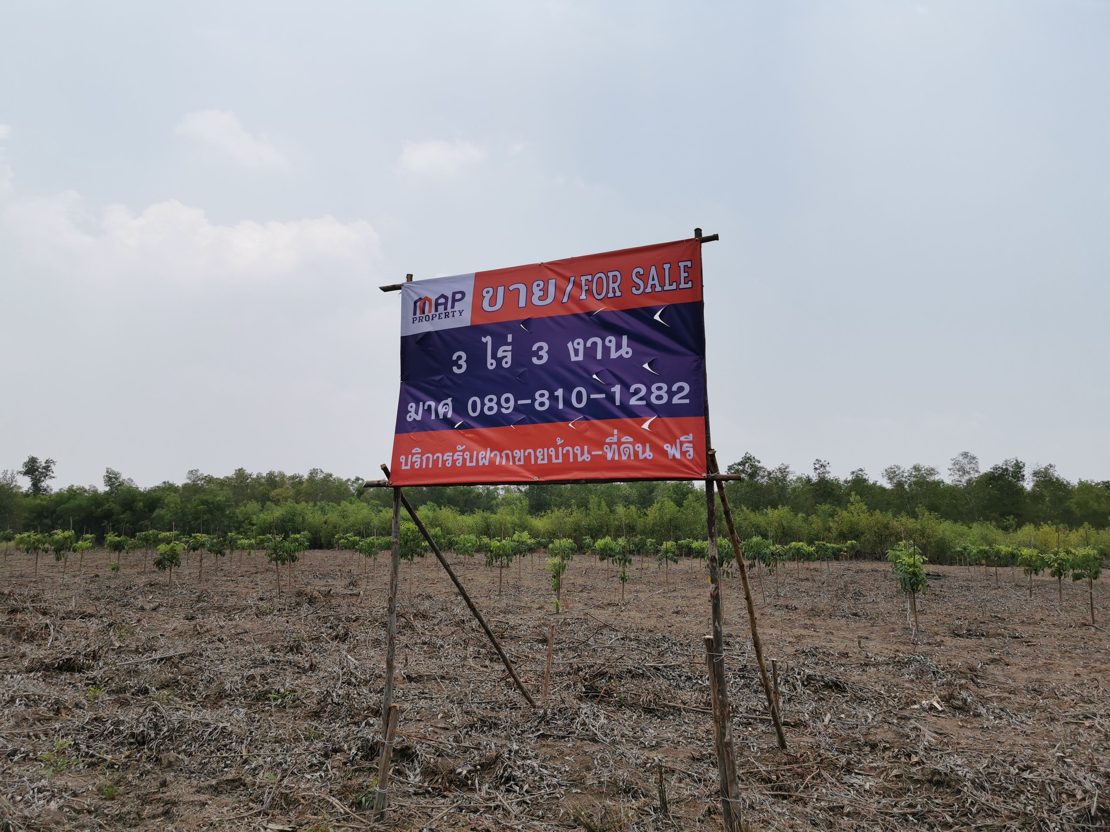 ขาย ที่ดินเปล่า คันทรีการ์เด้น ต.คลองสาม อ.คลองหลวง จ.ปทุมธานี