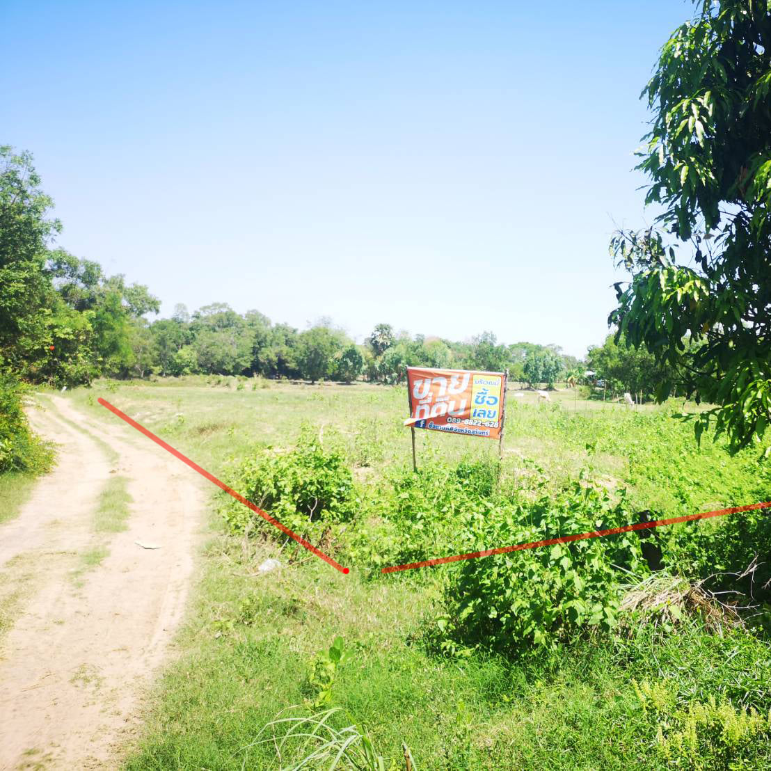 ที่ดินเปล่า 2 โฉนด เมืองสุรินทร์ 0-1-28.4