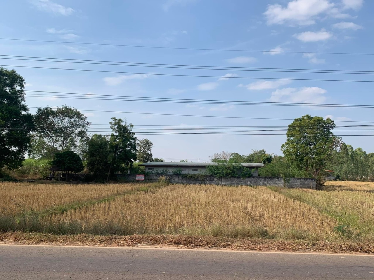 ที่ดิน พร้อมอาคาร