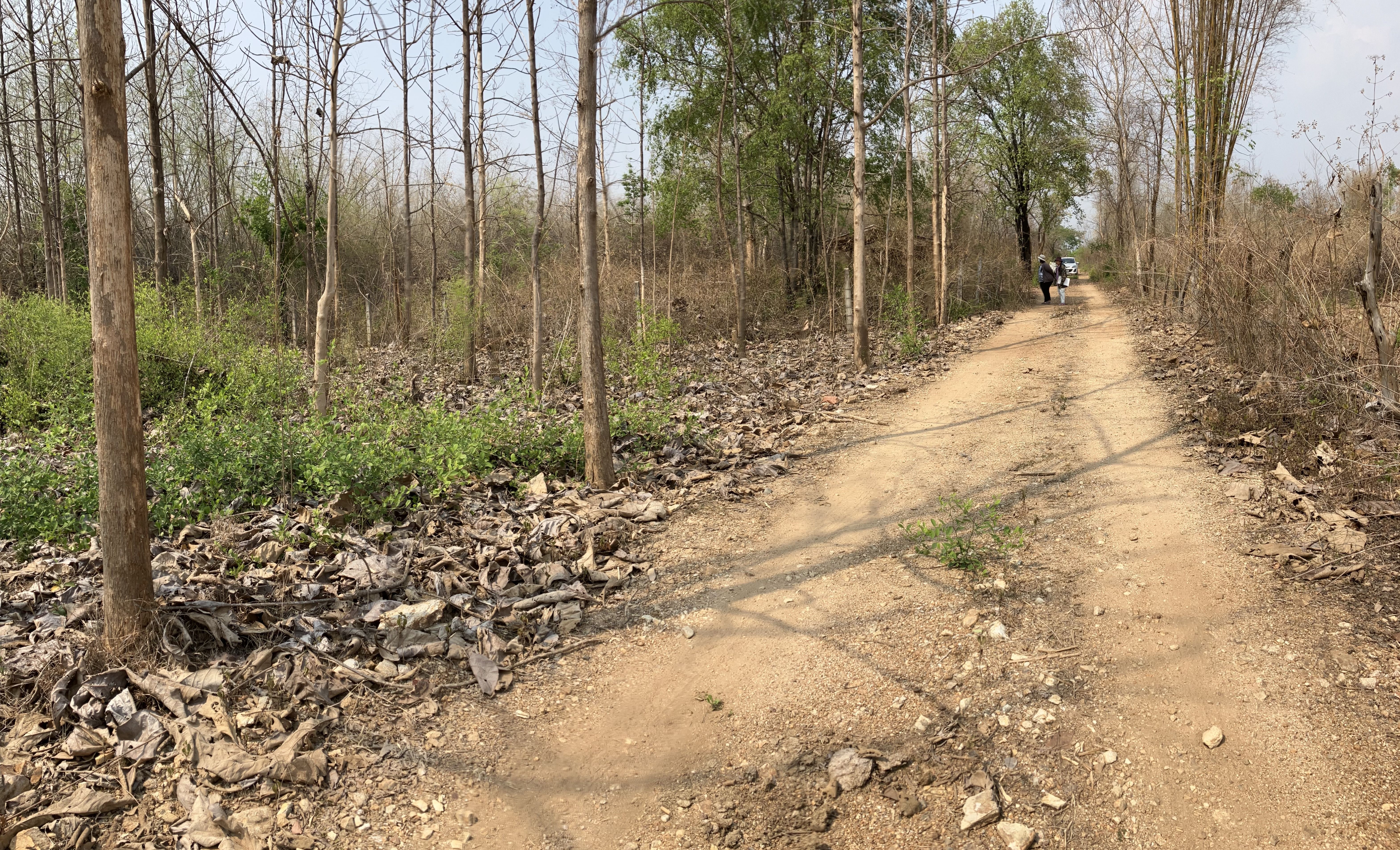 สุดคุ้ม ที่ดิน บ้านโทกหัวช้าง 1 ไร่ 5 แสนมีทอน เพียง 900 เมตร จาก ถนนสายบายพาส เลี่ยงเมืองลำปาง  
