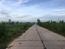 ขายที่ดินเเบ่งขายนครราชสีมา อ.เฉลิมพระเกียติ 5 ไร่