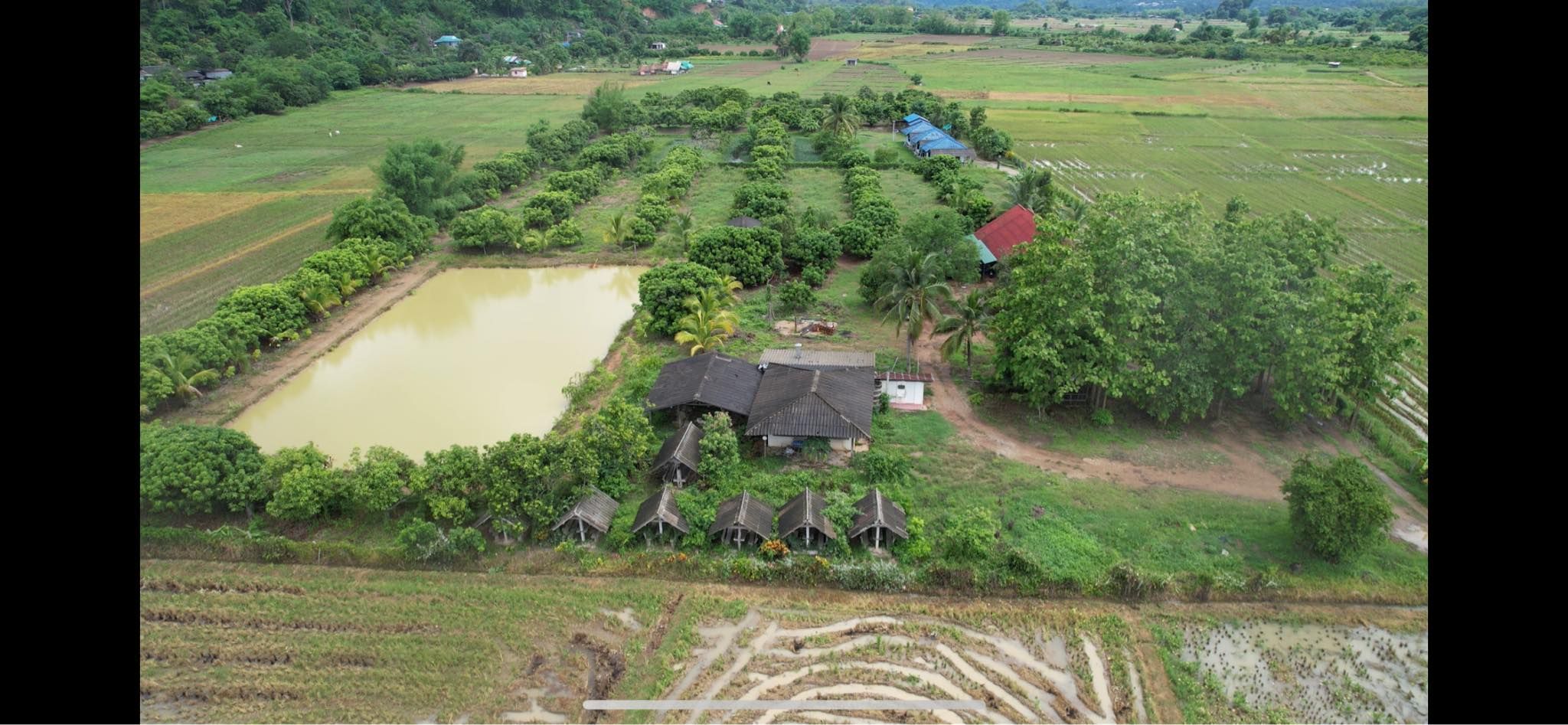 ขายที่ดินร้านอาหารปู๋หลงโต้ง เชียงดาว ตำนวน 30 ปี