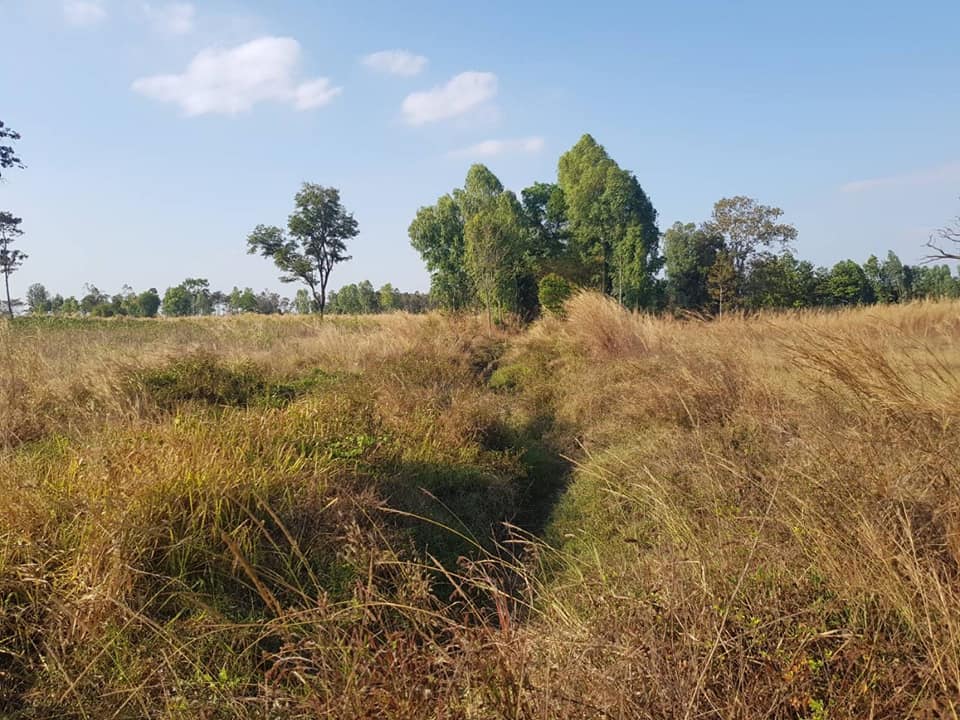 ที่นา  เนื้อที่ 9-3-81 ไร่ บ้านดุง อุดรธานี