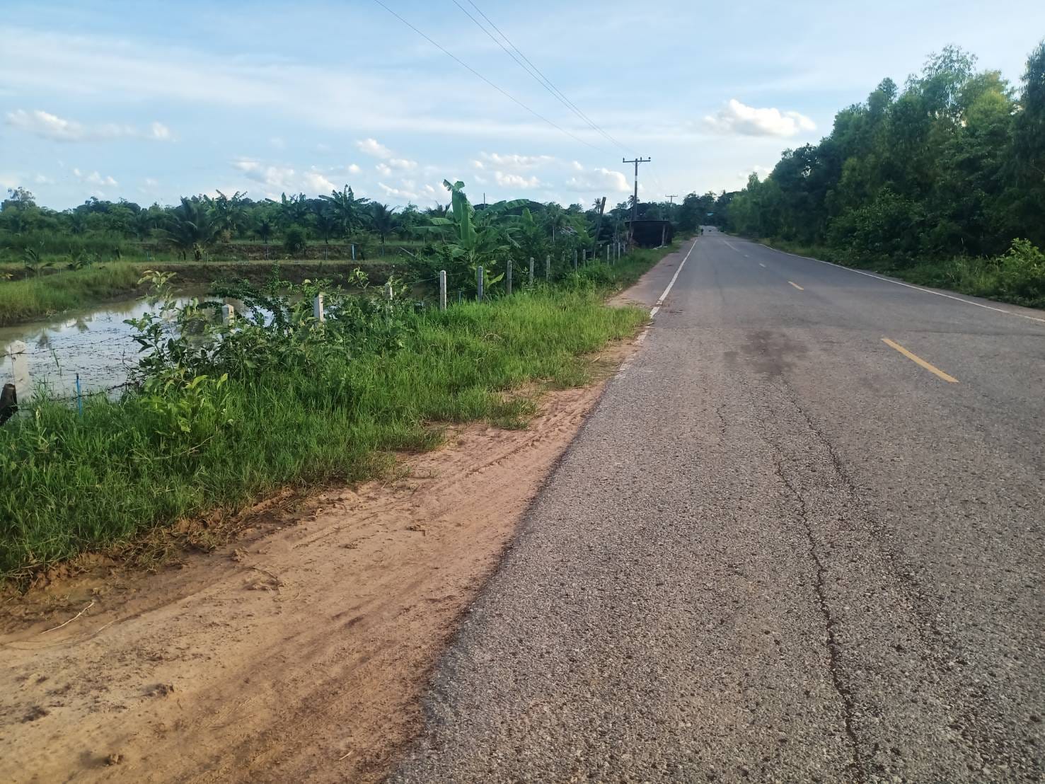 ที่ดินหนองนาพร้อมบ้าน กาฬสินธุ์ 8-3-74