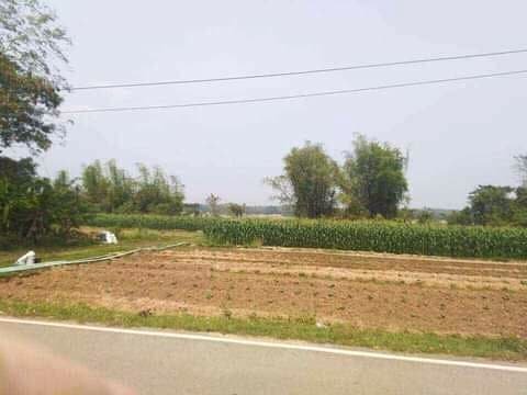 ขายที่ดินเปล่าริมโขง อ.ท่าอุเทน จ.นครพนม 5-1-0 ไร่