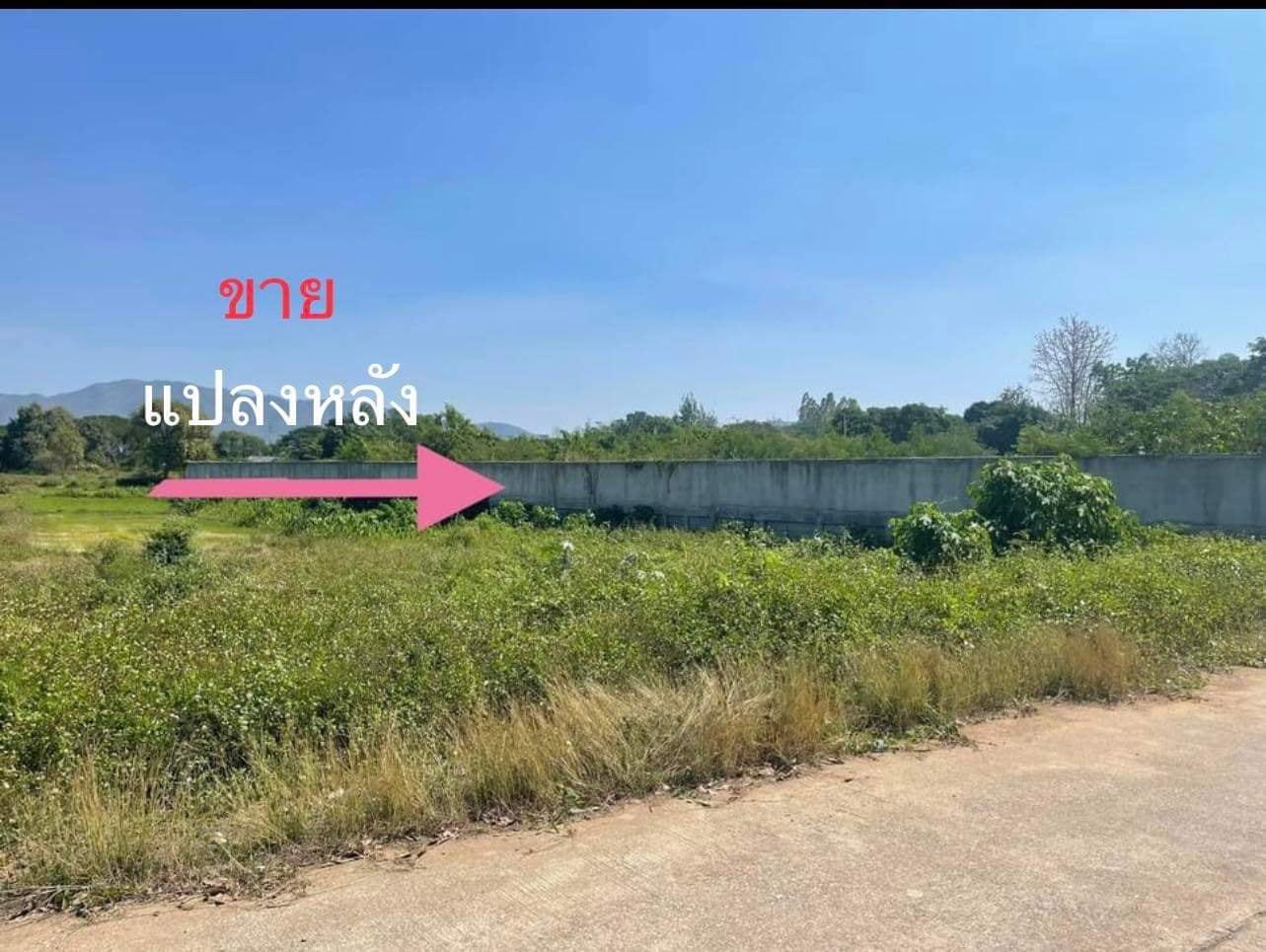 ที่ดินเปล่าขายด่วน ต.พระบาท อ.เมืองลำปาง จ.ลำปาง 0-2-31