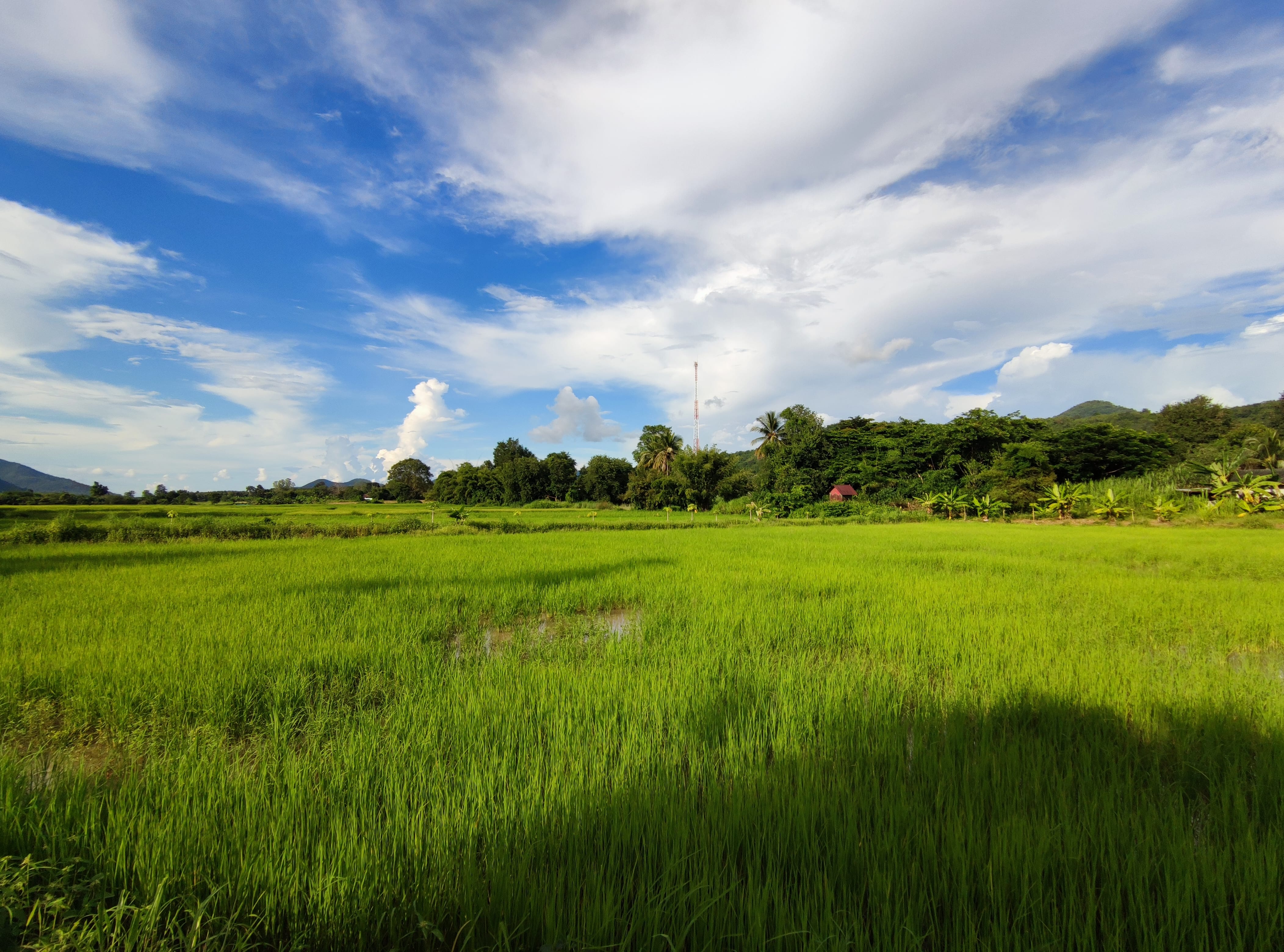 ขายที่ดินในเมืองเลย ทำเลดีติดแม่น้ำ! เพียง 2 ล้านบาท