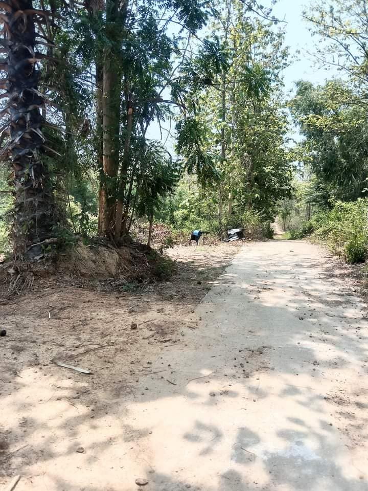 ขายที่ดินเปล่า อุตรดิตถ์ 10-0-42