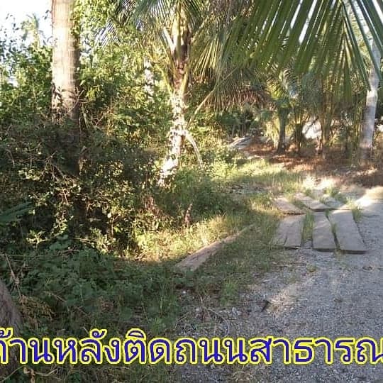 ที่ดินเปล่า ด้านหน้าติดถนน เพชรเกษม อ.ทับสะแก จ.ประจวบคีรีขันธ์  2  ไร่