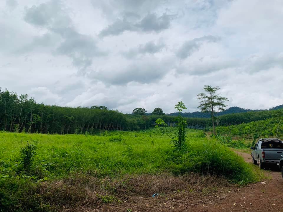 ขายที่ดินระยอง บ้านค่าย 2-3-28