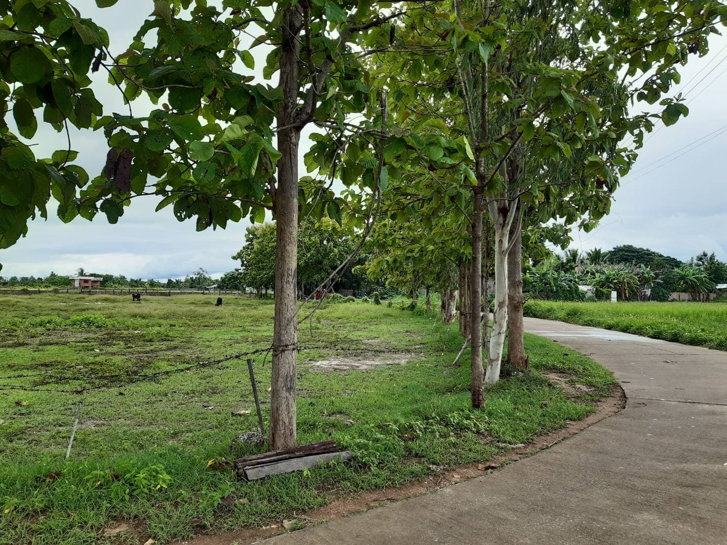 ที่ดินเปล่า เมืองลำปาง 2-2-8.9