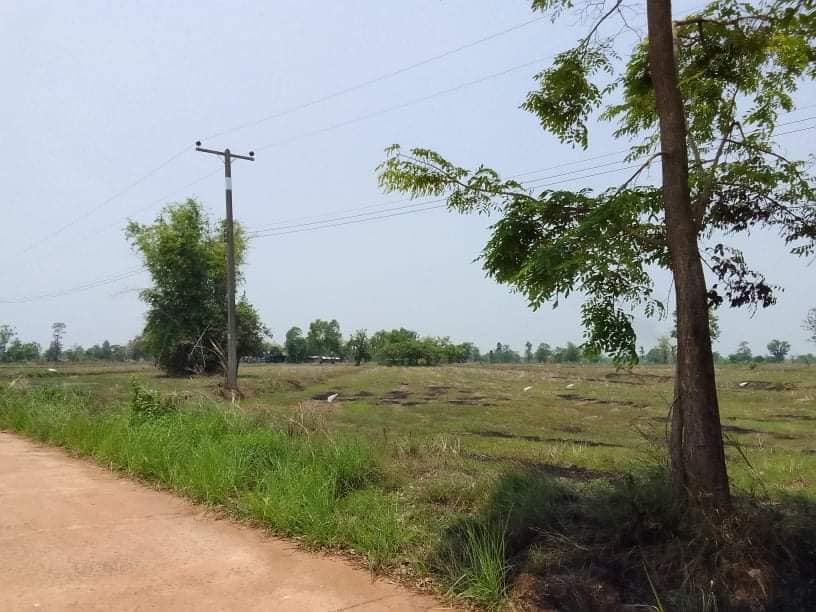ที่ดิน ต.หนองบัวฮี.อ.พิบูลฯ อุบลราชธานี