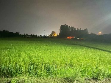 ที่ดินน่าลงทุน แปลงสวย ท่ามะกา กาญฯ 6-3-1
