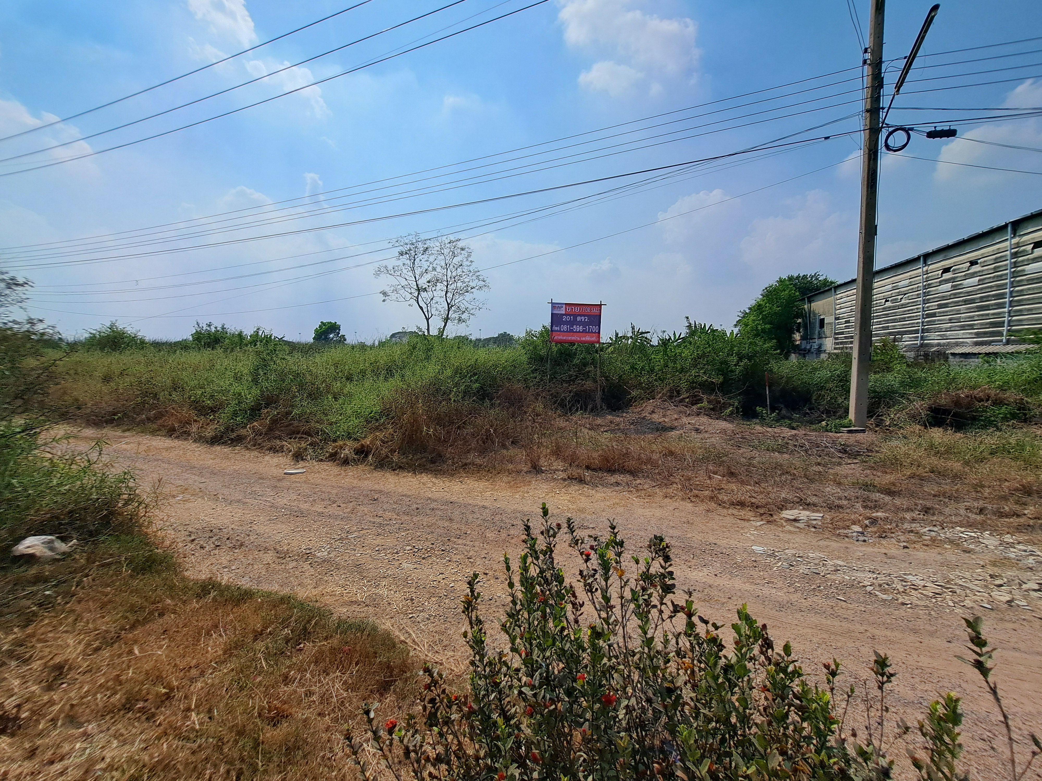 ขายด่วน ที่ดิน 201 ตร.ว. ธัญญะ ปทุมธานี ทำเลดี  ใกล้สวนสัตว์แห่งใหม่, วิหารหลวงพ่อโสธร, สนามกอล์ฟ RG