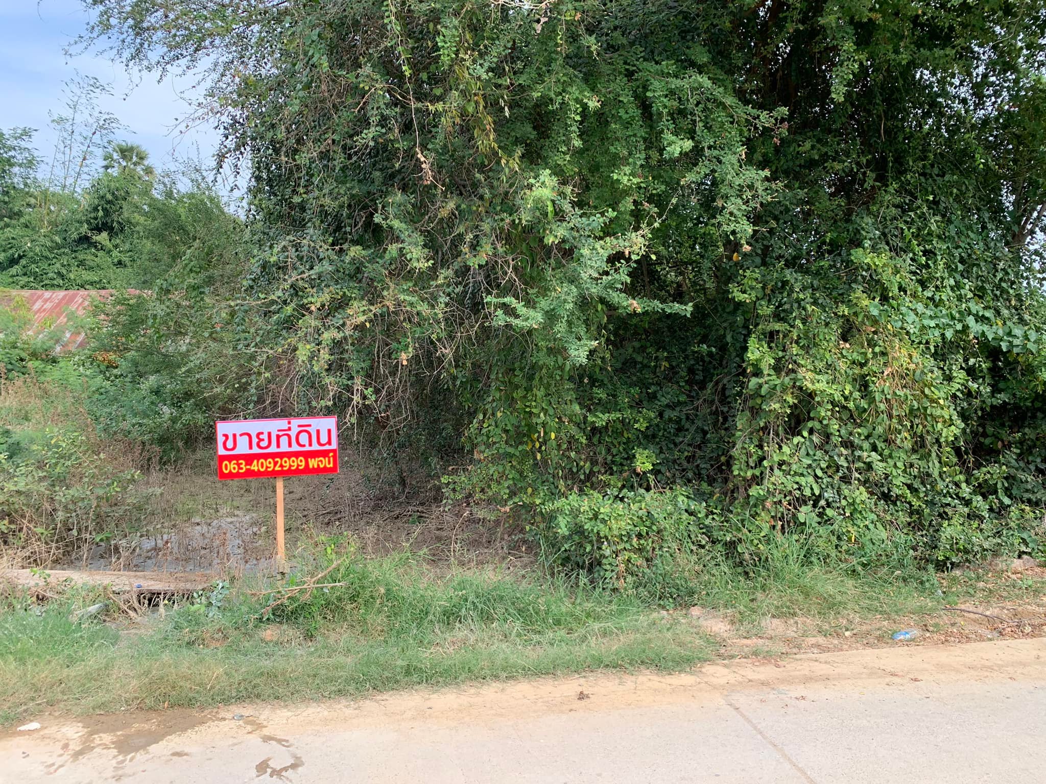 ที่ดินเหมาะแก่การปลูกที่พักอาศัย เพชรบุรี 93 ตร.ว