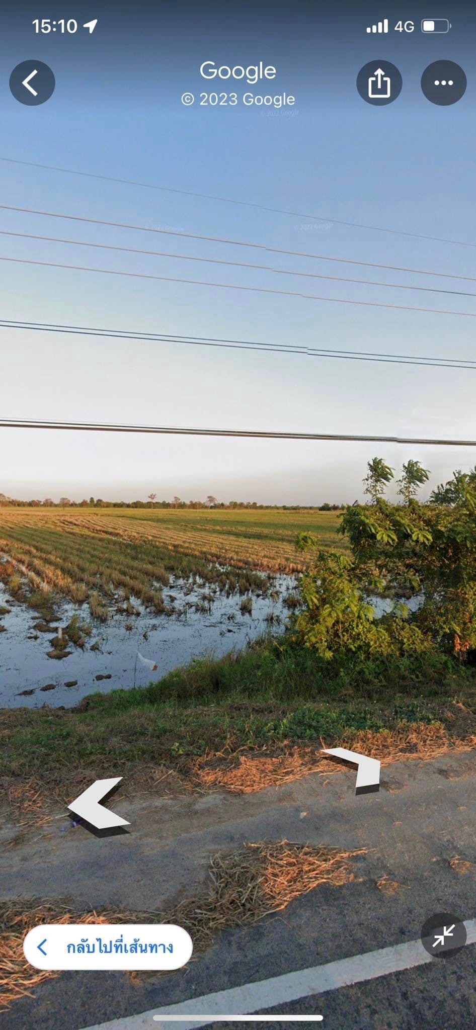 ที่ดิน บุรีรัมย์ อ.บ้านจาน ต.พุทไธสง ติดถนนใหญ่4เลนถบุรีรัมย์-นางรอง
