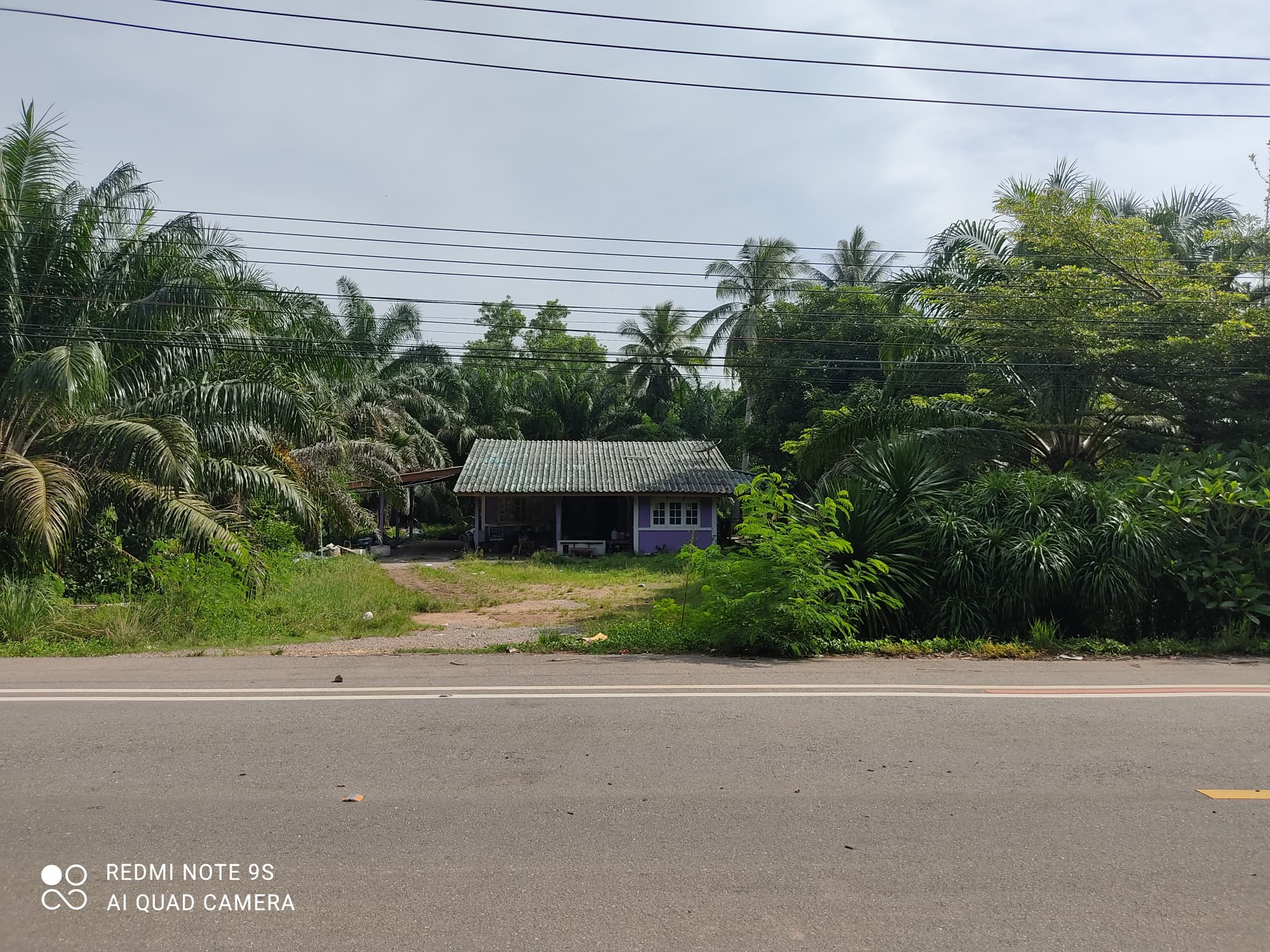 บ้านพร้อมที่ดิน ชุมพร 1-0-22