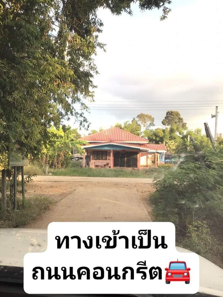 ที่ดินถมแล้ว โพทะเล พิจิตร 206 ตร.ว