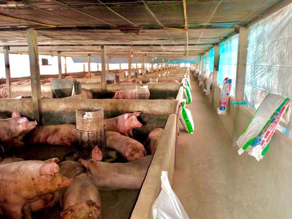 ฟาร์มหมู พร้อมที่ดิน21ไร่ จังหวัดเพชรบุรี