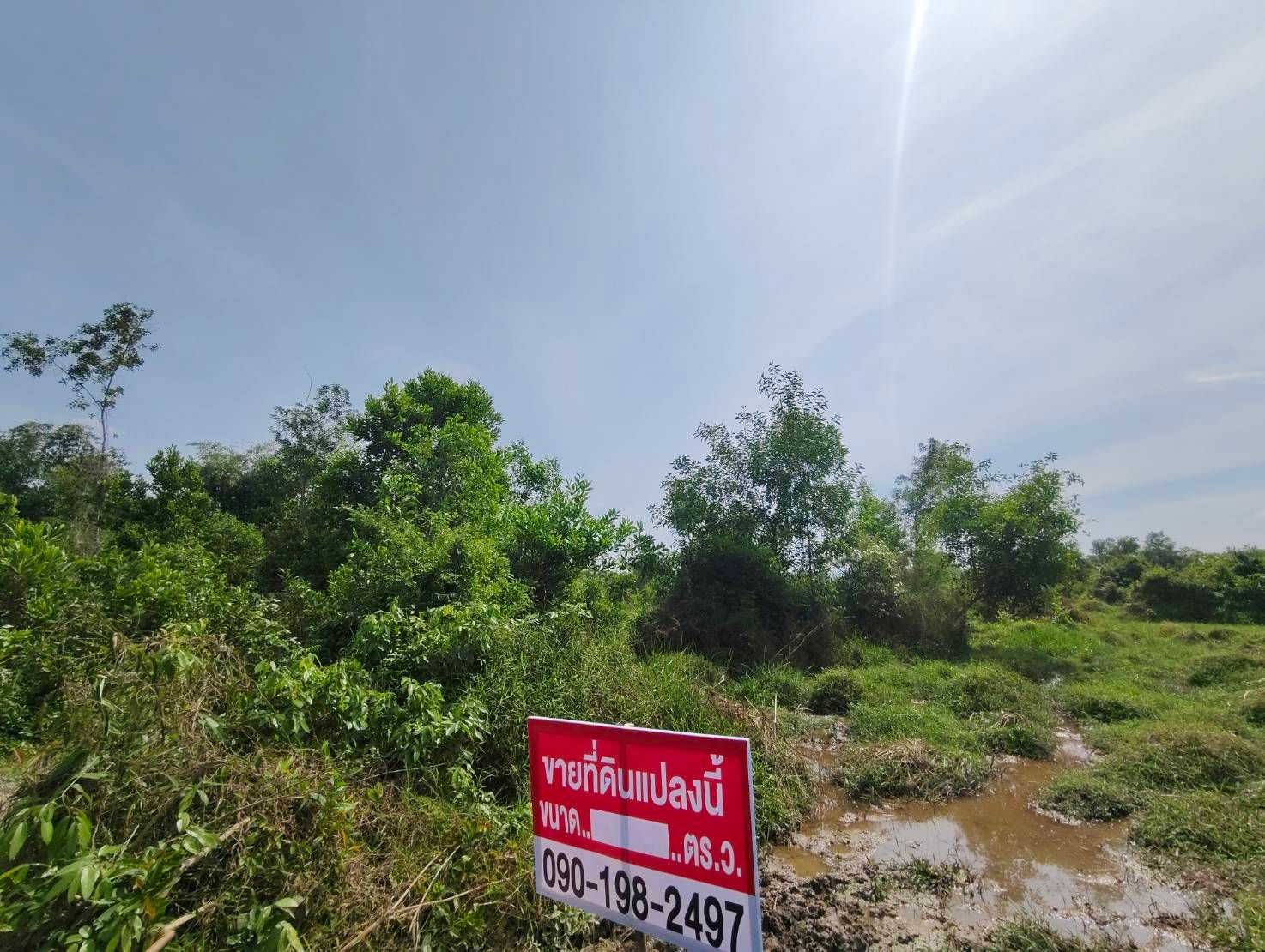 ขายที่ดิน บ้านพรุ ขนาด เกือบ 2 ไร่