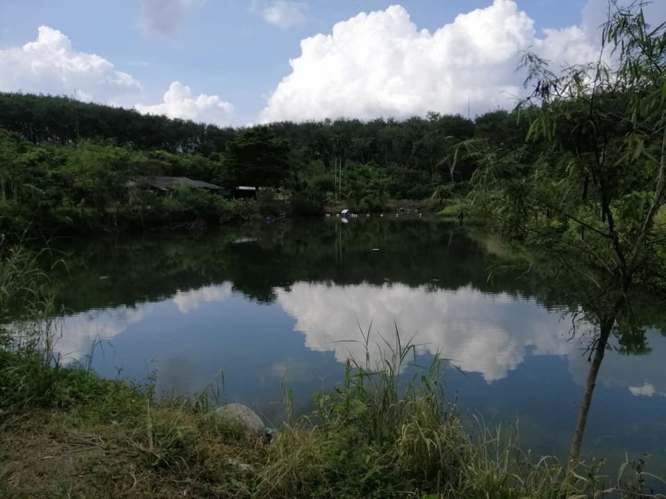 ขายที่ดิน จันทบุรี 17-2-95 ไร่